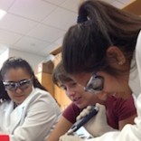 HHS Students Experience UT